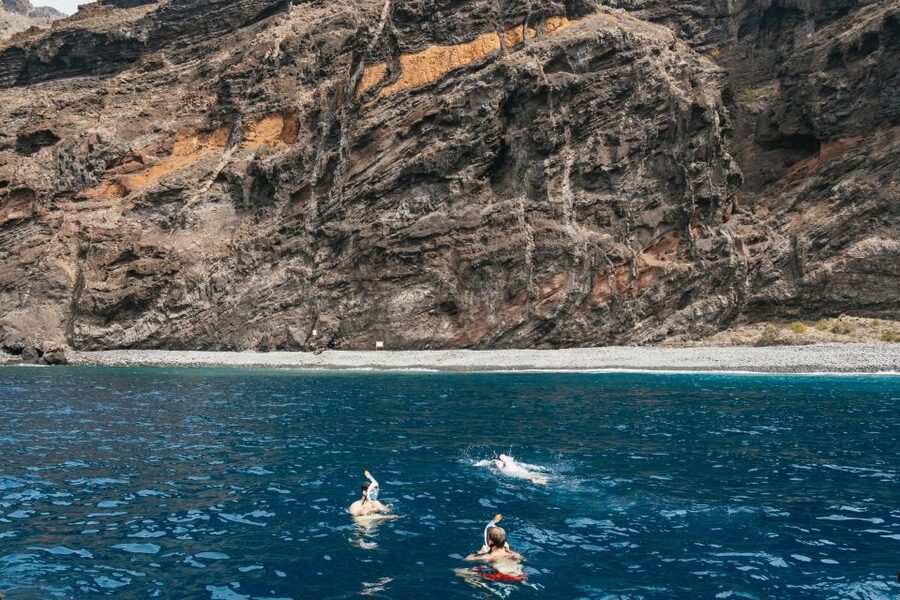 Costa Adeje: Whale & Dolphin Eco-Cruise with Snacks & Drinks - Teno-Rasca Whale Sanctuary, Plus Teide Views and Coastal Pass-By