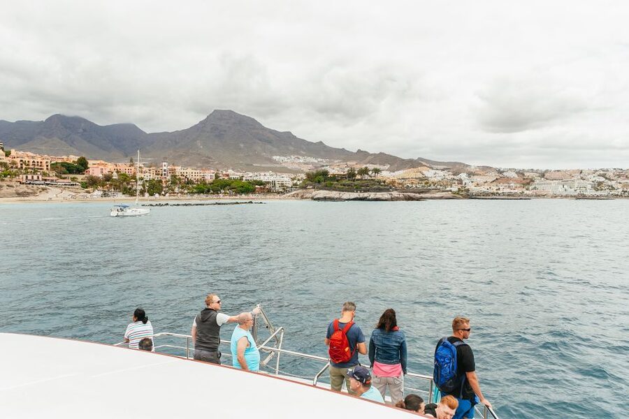 Costa Adeje: Whale & Dolphin Submarine Vision Mini Cruise - Setting Sail from Puerto Colón on the Royal Delfin Catamaran