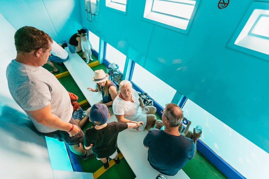 Costa Adeje: Whale & Dolphin Submarine Vision Mini Cruise - The On-Board Guide Experience: Safety Vests and Marine Facts in Your Language