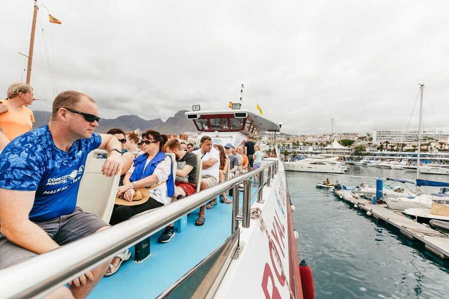 Costa Adeje: Whale & Dolphin Submarine Vision Mini Cruise - Who This Cruise Is Best For