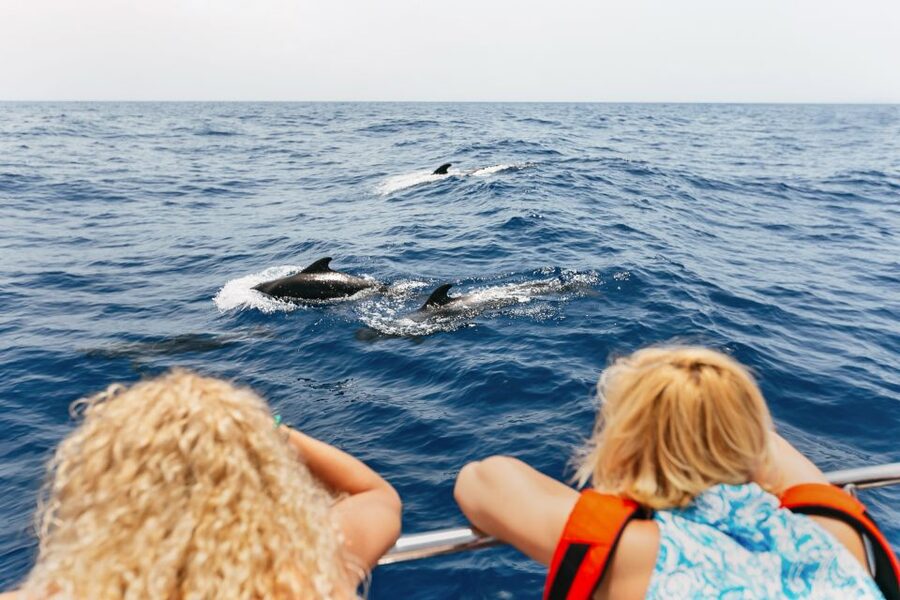 Costa Adeje: Whale Watching Catamaran Tour with Drinks - Why Costa Adeje pilot whales are the star of this trip