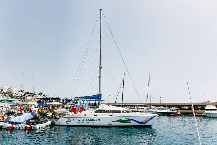 Costa Adeje: Whale Watching Catamaran Tour with Drinks - The optional 3-hour upgrade: Playa Espagueti snorkeling timing and reality