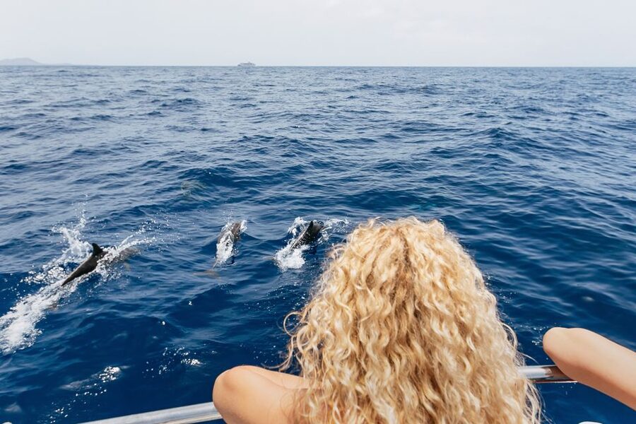 Costa Adeje: Whale Watching Catamaran Tour with Drinks - What $41 really buys you on this Tenerife whale-watching cruise
