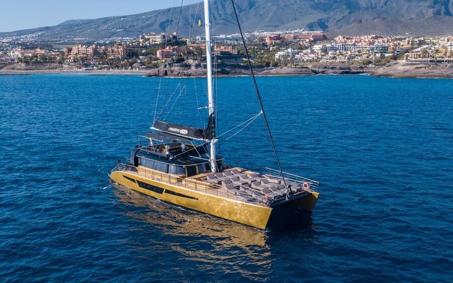 Costa Adeje: Whale Watching Cruise - Key Highlights You Should Know Before You Go