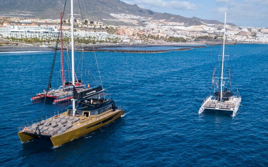Costa Adeje: Whale Watching Cruise - Why This 3-Hour Whale Watching Trip Works So Well in Tenerife