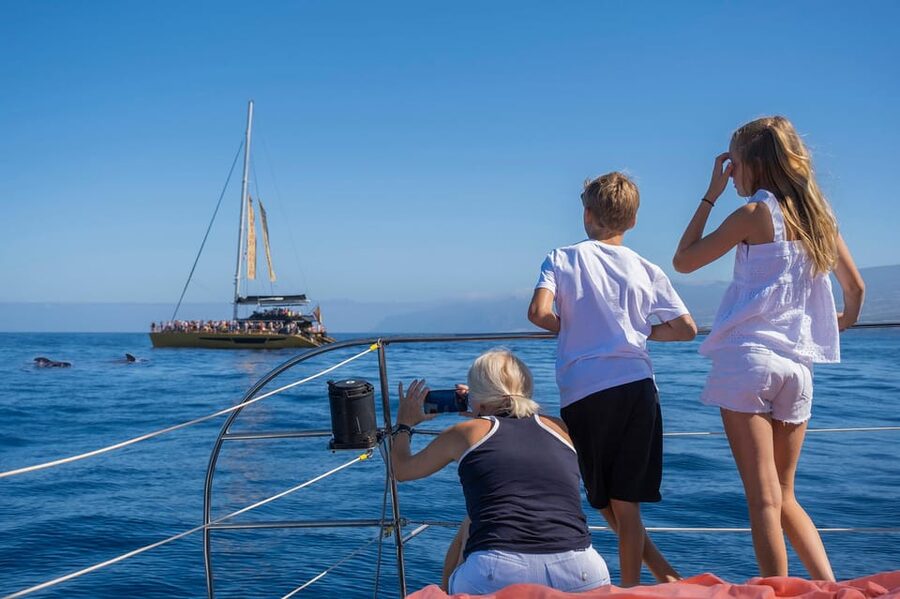 Costa Adeje: Whale Watching Cruise - The Included Swim Stop Bay, Sun and Shade on a Catamaran