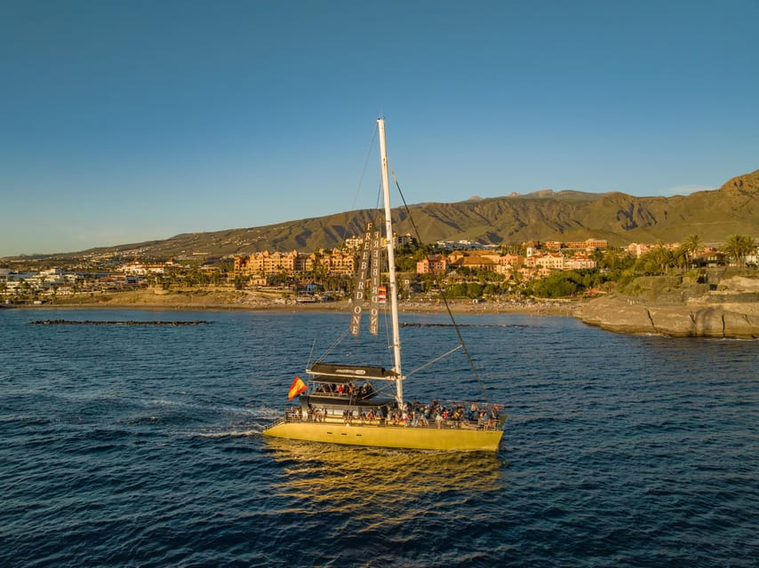 Costa Adeje: Whale Watching Cruise - Who Should Book This Cruise (and Who Should Skip It)