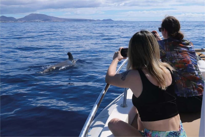 Costa Adeje: Whale Watching Eco Experience with Hydrophone. - Europe’s only whale sanctuary in Costa Adeje, and why it changes the feel
