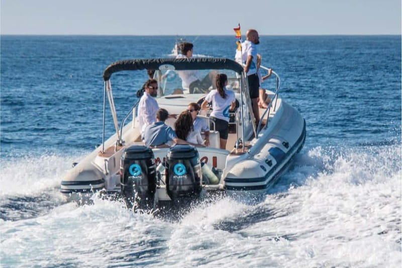 Costa Adeje: Whale Watching Eco Experience with Hydrophone. - What you might see in the sanctuary: pilot whales, dolphins, turtles, and seabirds