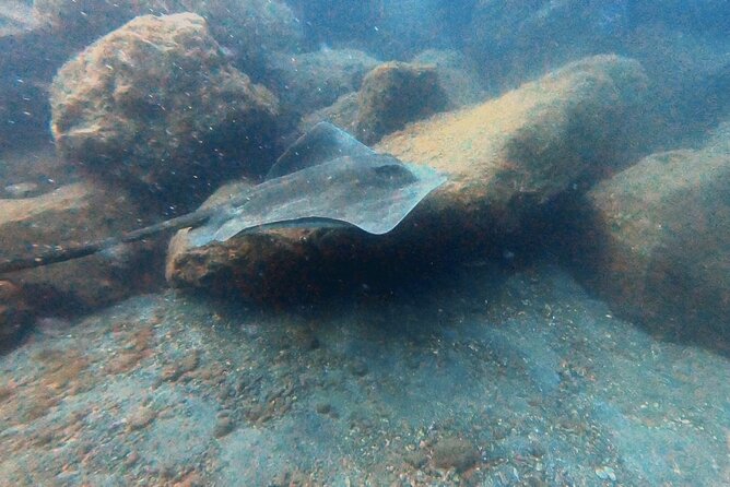 Discover beginner diving in Tenerife - Medical Form, Medication, and the 12-Hour Flight Rule