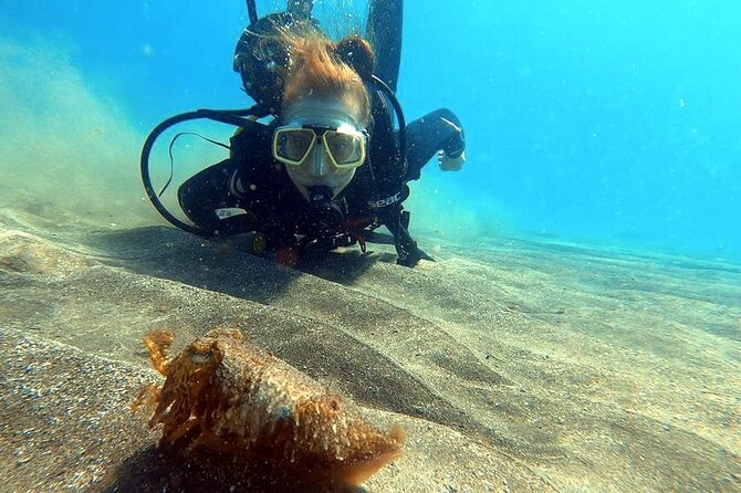 Discover beginner diving in Tenerife - Meeting Pedro and Getting the Kind of Instruction Beginners Need