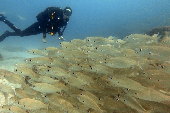 Discover beginner diving in Tenerife - Who Should Book This, and Who Should Skip It