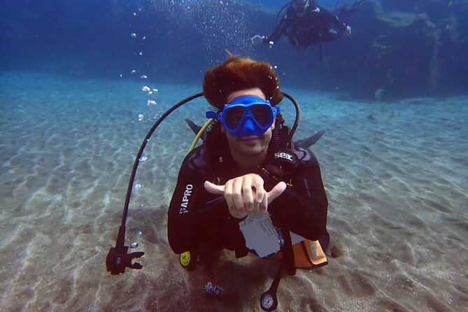 Discover beginner diving in Tenerife - Your 2.5 Hours: A Simple, Real-World Flow You Can Plan Around
