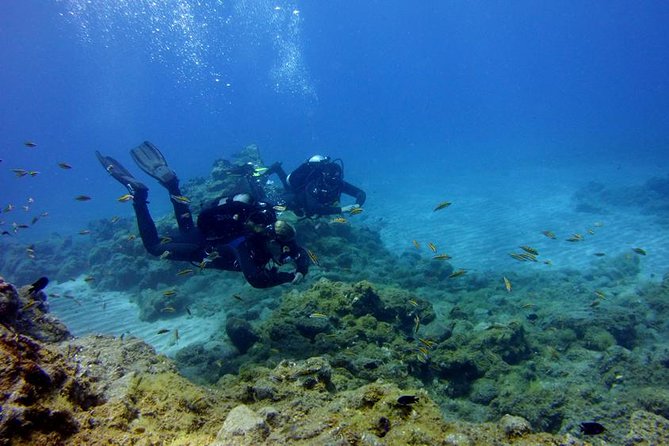 Discover Scuba Diving Adventure in Tenerife - Key highlights I’d focus on