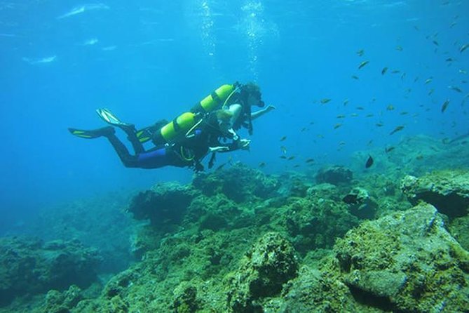 Discover Scuba Diving Adventure in Tenerife - How the training works before you go underwater