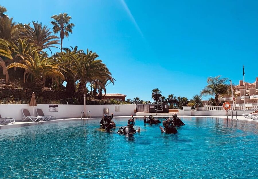 Discover Scuba Diving Experience - The ocean session from Costa Adeje: what you will look for