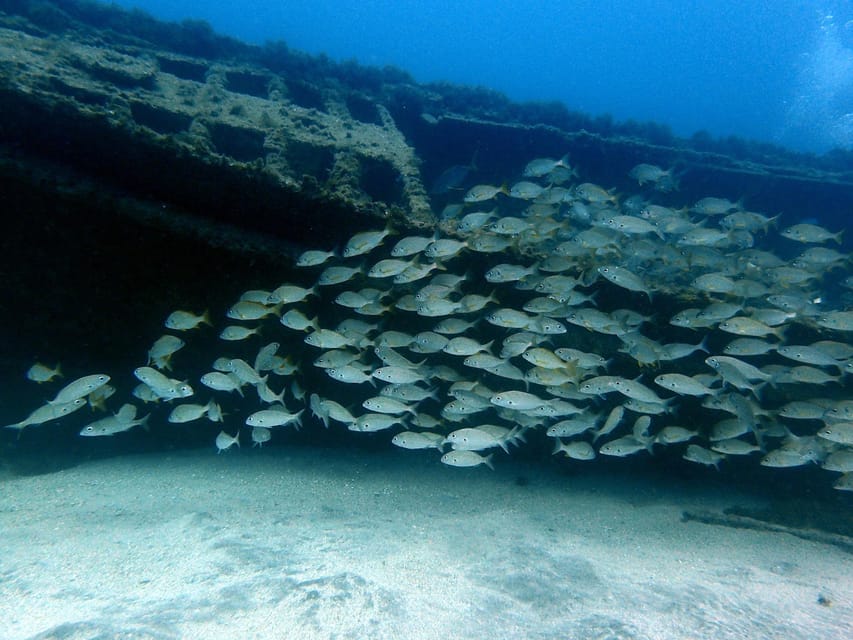Discover Scuba Diving Experience - What to bring for a smooth day in Tenerife
