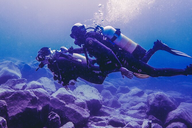 Discover Scuba Diving . First Experience underwater - Meeting in Los Cristianos, then heading to the water