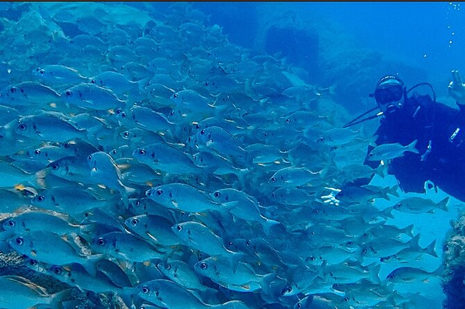 Discover Scuba Diving . First Experience underwater - Group size, English instruction, and why smaller feels better