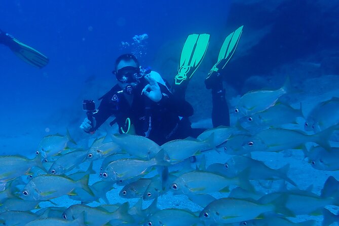 Discover Scuba Diving . First Experience underwater - How long it is, and what to do with the rest of your day