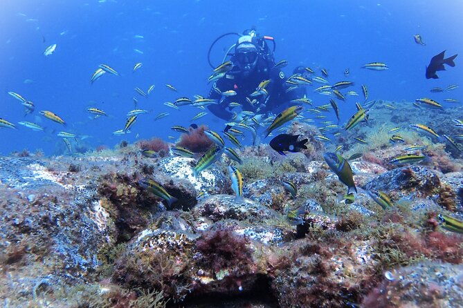 Discover Scuba Diving . First Experience underwater - PADI briefing and the confidence exercises that calm your brain
