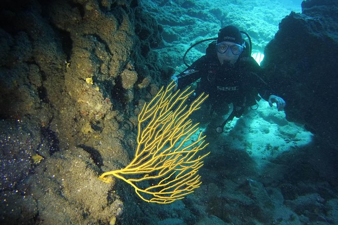 DISCOVER SCUBA DIVING - First step to your certification - Key Things Worth Knowing Before You Go
