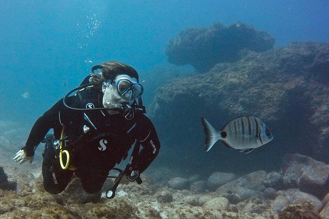 DISCOVER SCUBA DIVING - First step to your certification - Why Tenerife’s South Coast Works So Well for Beginners