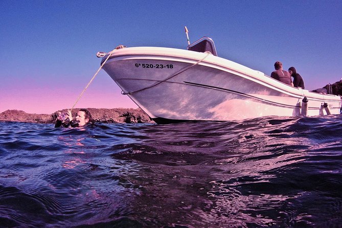 DISCOVER SCUBA DIVING - First step to your certification - Private Setup at Las Galletas, What You’ll Be Doing