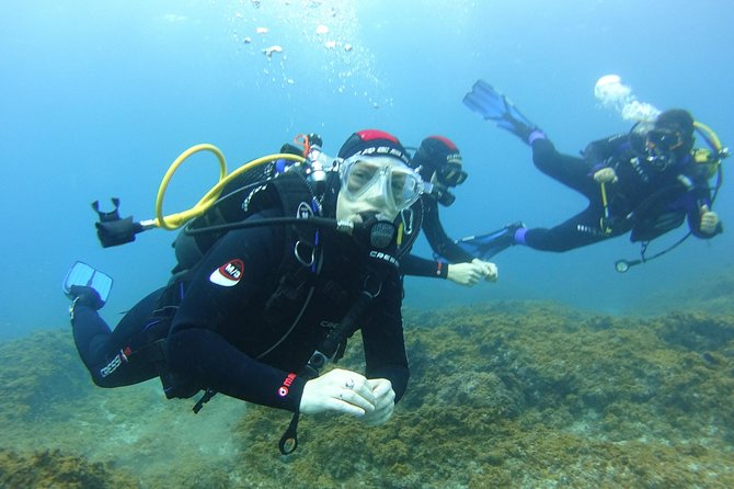 Discover Scuba Diving, free pictures included - First lesson on basics, equipment, and calm breathing
