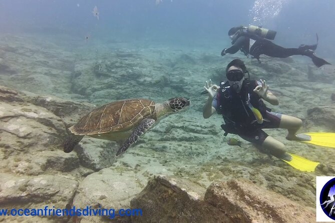 Discover Scuba Diving, free pictures included - Equipment, insurance, and what you can skip deciding about