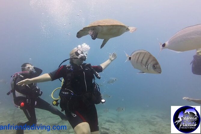 Discover Scuba Diving, free pictures included - What the price covers, and why it feels fair
