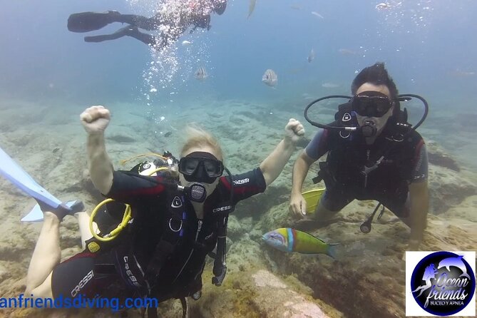 Discover Scuba Diving, free pictures included - Who should book this first scuba experience