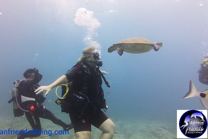 Discover Scuba Diving, free pictures included - Gradual progress to up to 12 meters and volcanic views