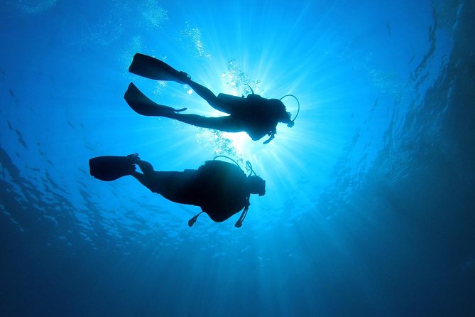 Discover Scuba Diving in Tenerife - How your 35-minute briefing sets you up for comfort
