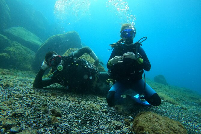 Discover Scuba Diving in Tenerife - The underwater moment: what you actually do in the bay
