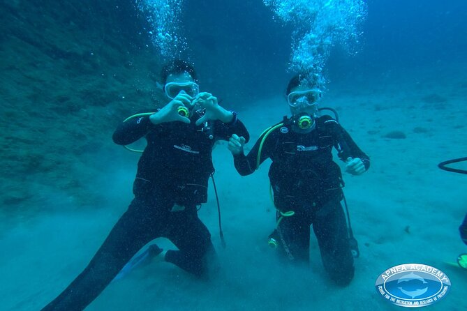 Discover Scuba Diving in Tenerife - Meeting point in Abades and how to plan your timing