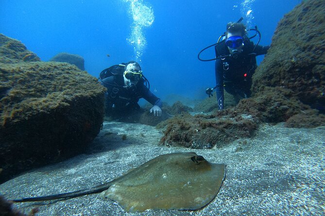 Discover Scuba Diving in Tenerife - Price and value: is $78.64 a fair deal?