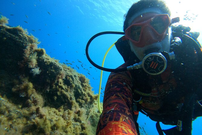 Discover Scuba Diving in Tenerife - Who should book this scuba try-out in Tenerife