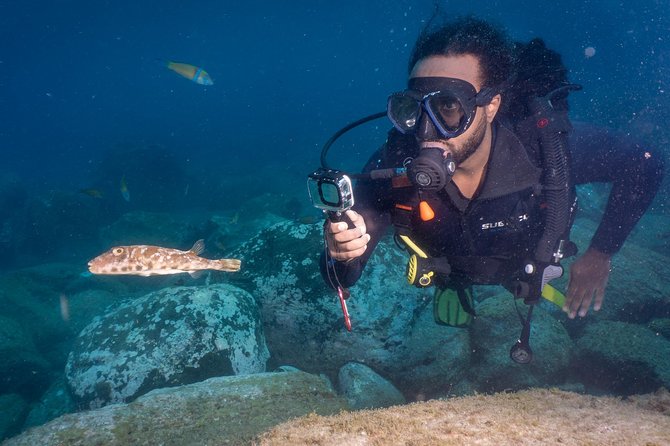 Discover Scuba Diving, Playa de las Americas - Marine Life and Underwater Volcanic Rock You Can See Close Up