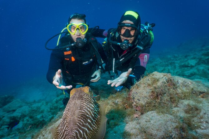 Discover Scuba Diving, Playa de las Americas - The Main Underwater Session Near Los Cistianos