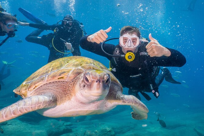 Discover Scuba Diving program: shore + boat dives - Key Things That Make This Program Worth Your Time