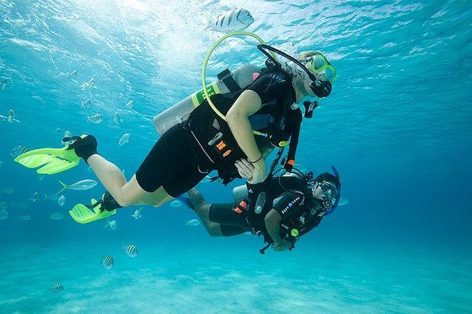 Discover Scuba Diving with two dives in the Ocean in Tenerife with Transfers - Key Things to Know Before You Go
