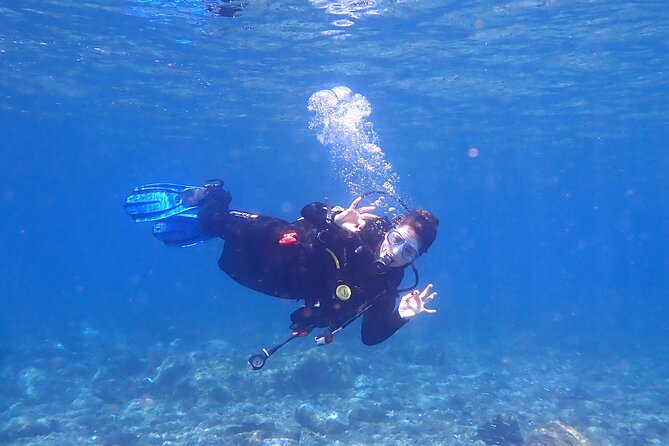 Dives Packages with Transfers in Tenerife - The Weather Chooses the Sites, Not Your Spreadsheet
