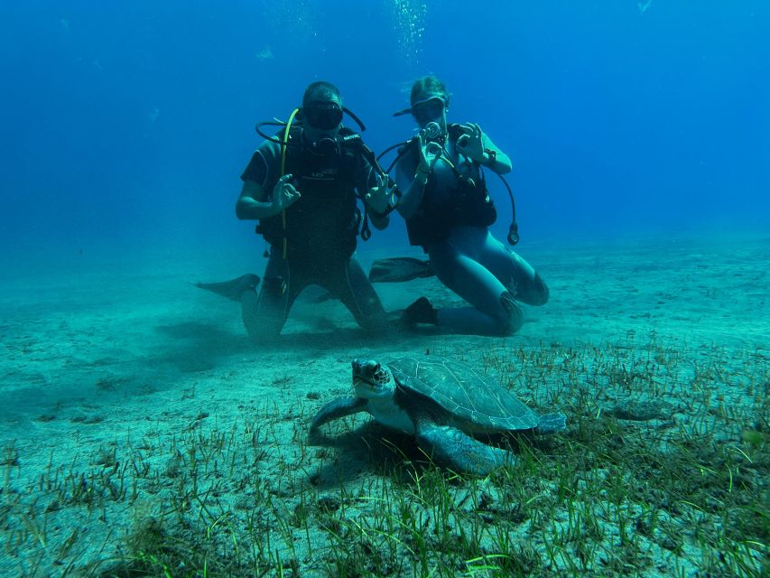 Diving course for beginners in turtle area Tenerife - Where Abades Beach sets up your first underwater breathing session