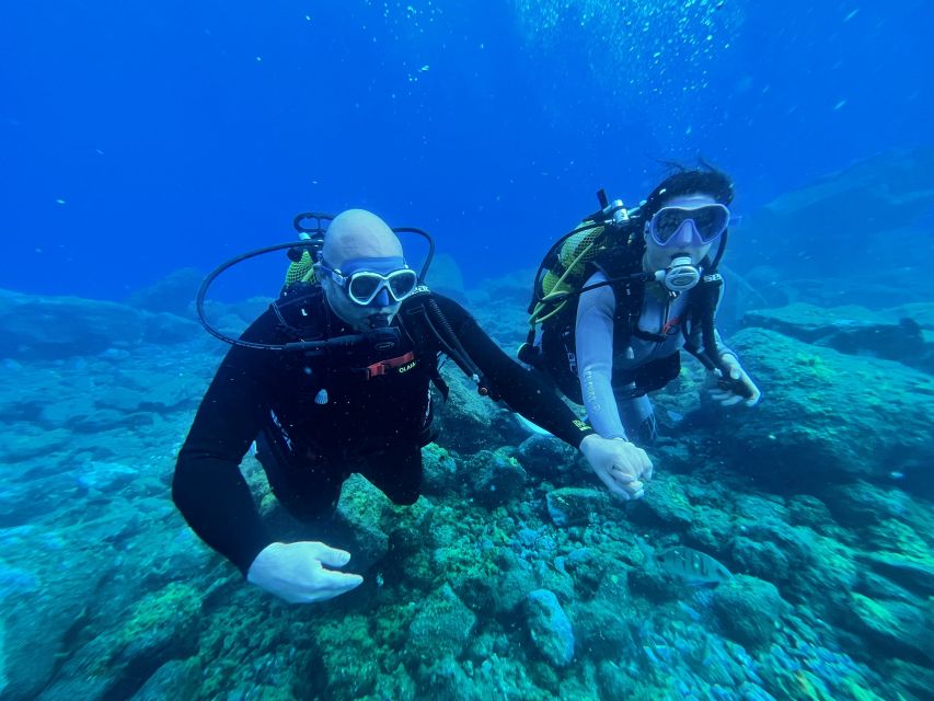 Diving course for beginners in turtle area Tenerife - Equipment and what to bring, plus what is not included