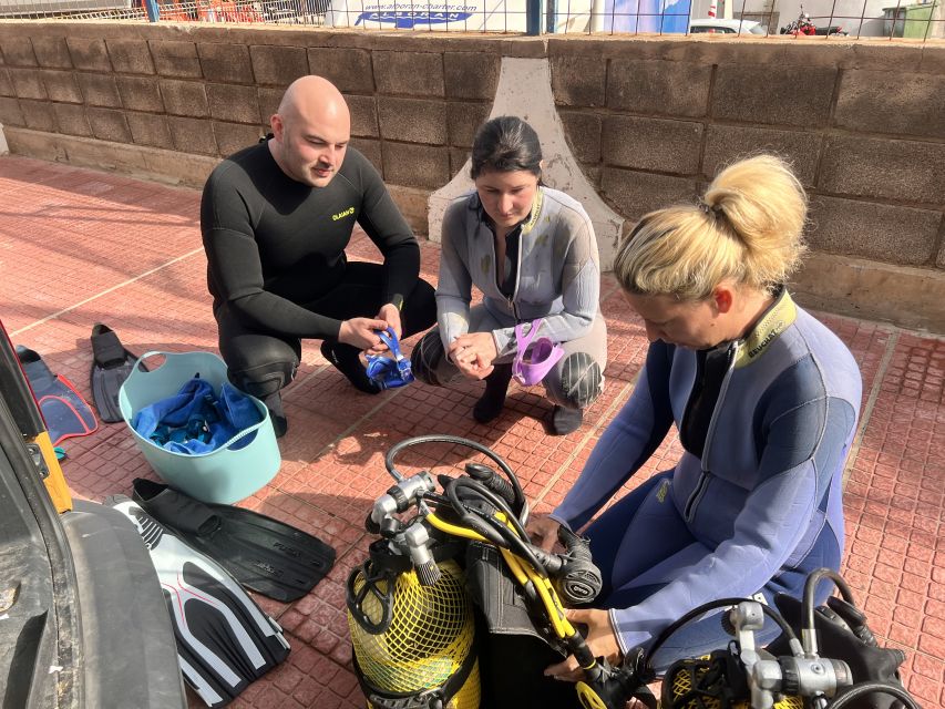 Diving course for beginners in turtle area Tenerife - Turtle area expectations, what you can count on and what you cannot