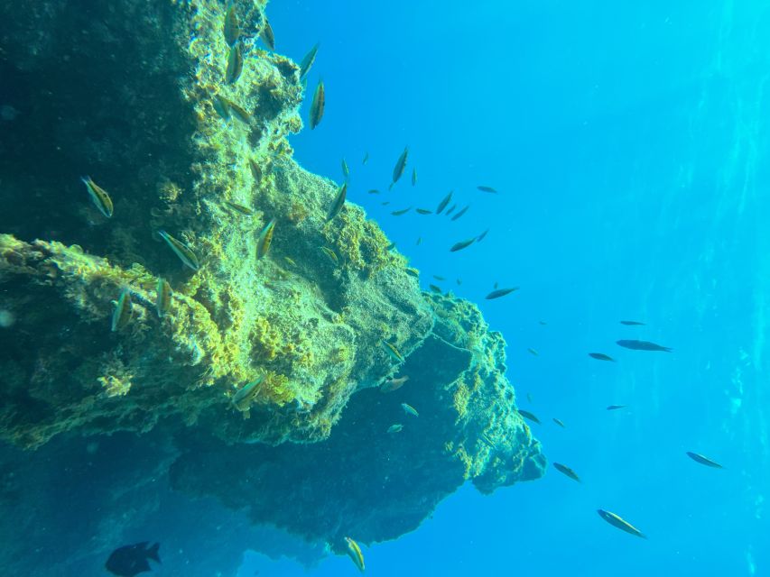 Diving course for beginners in turtle area Tenerife - Health, age, and safety limits you must take seriously