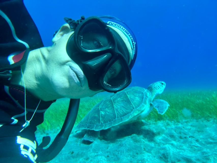 Diving course for beginners in turtle area Tenerife - Practical rules so you protect wildlife and keep the session smooth