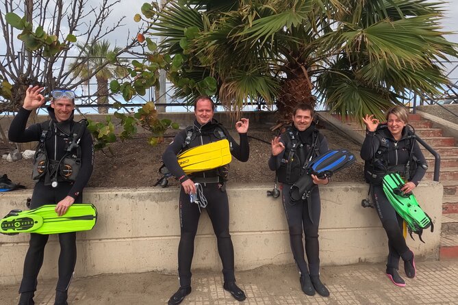 Diving in Los Cristianos, Tenerife - From Ocean Dreams Tenerife to Playa Las Vistas, how the day actually flows