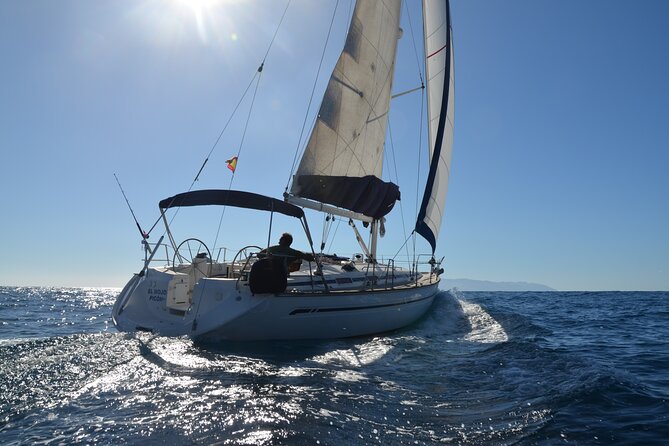 Dolphin and Whale Sailing Tour in Los Gigantes - Why Los Gigantes is prime for a sailing whale and dolphin hunt